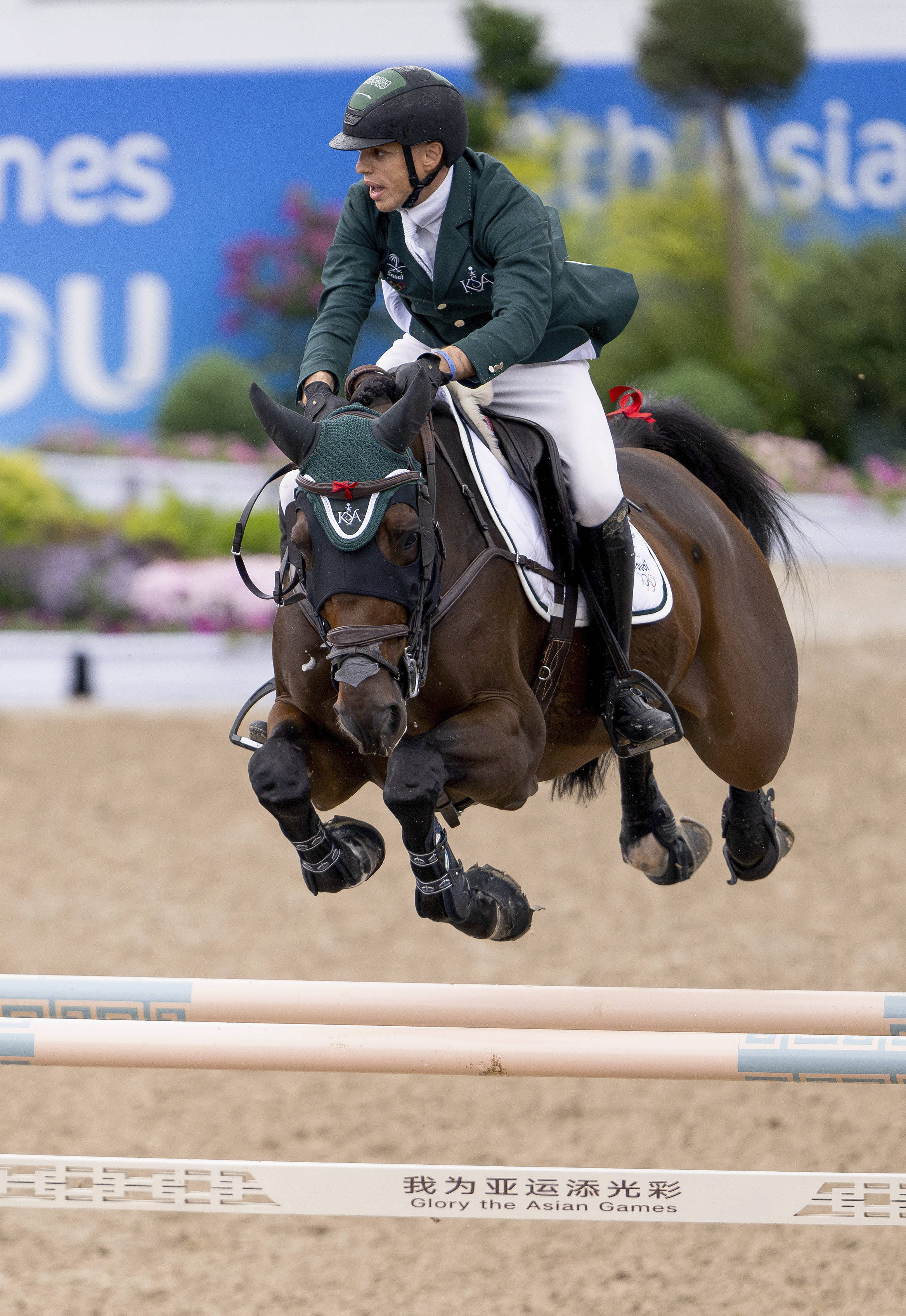 马术障碍赛,优雅骑士的速度与智谋 马术障碍赛,优雅骑士的速度与智谋