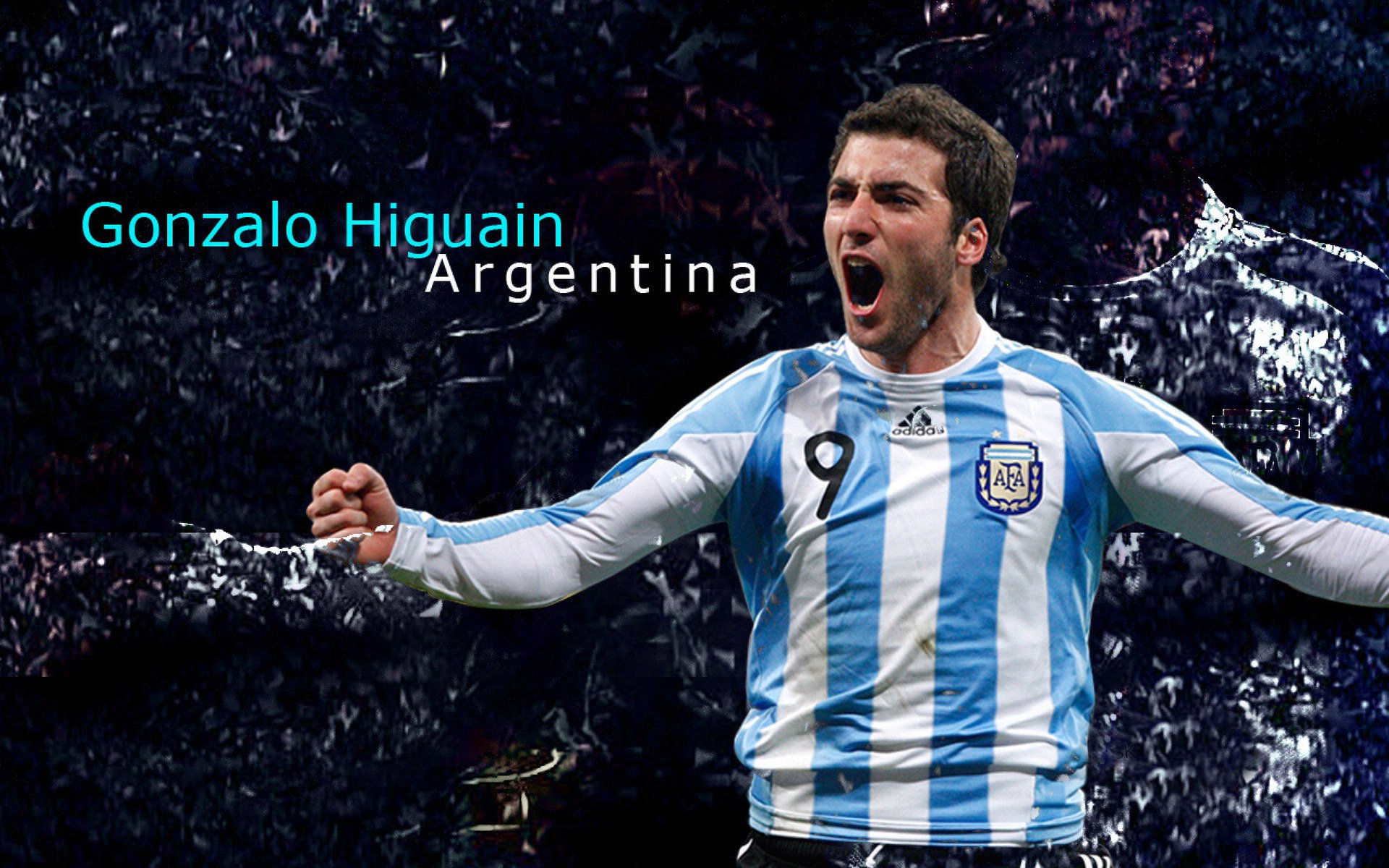 墨西哥马术协会与国际马术联合会合作,举办国际马术交流活动,促进技术交流。