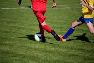 开云网页版-世界马拉松大满贯赛事上海站开跑，世界马拉松大满贯赛事上海站开跑时间